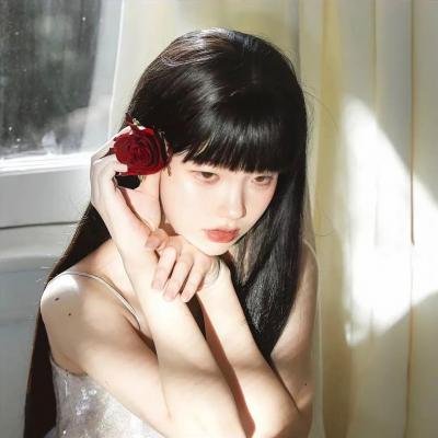 月季花开